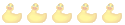 Nouvelle Nouvelle