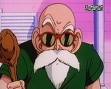 Master Roshi Master Roshi