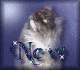 Nouveaux messages