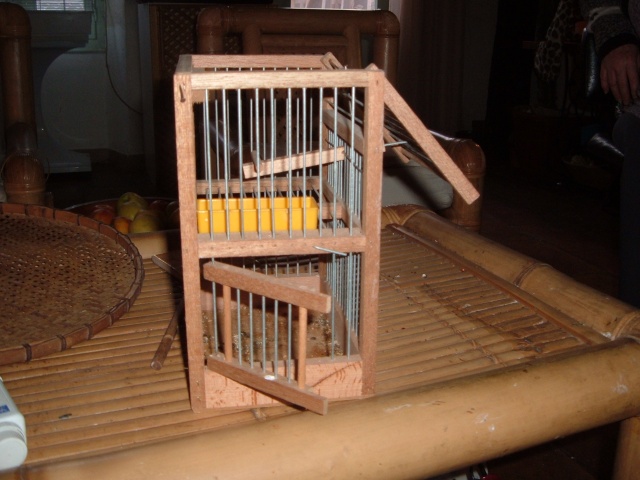 cage piège pour oiseau échappé - Nos volières