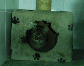 pict0211.jpg
