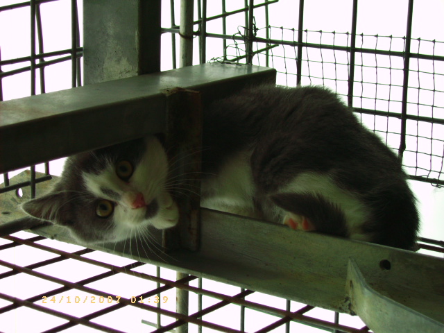 pict0311.jpg