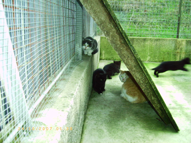 pict0312.jpg