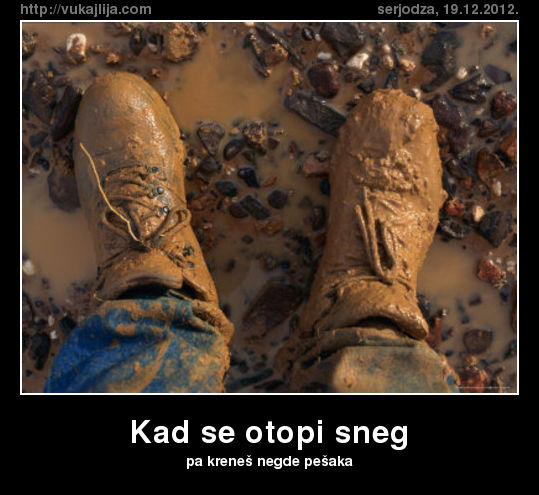 Slika