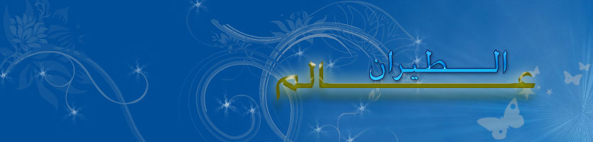 عـــــالم الطيران