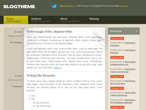 blogth10 How to make wordpress for blog, Free Woo Themes for Wordprss