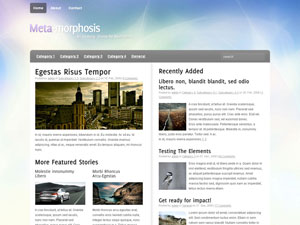 metamo10 How to make wordpress for blog, Free Woo Themes for Wordprss