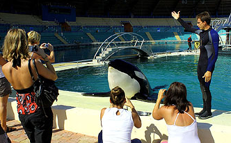http marineland rencontre avec les animaux visite vip