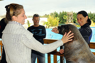 comment se passe la rencontre avec les dauphins a marineland