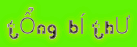 TỔNG BÍ THƯ TỔNG BÍ THƯ