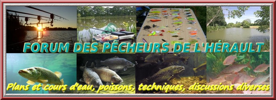 La pêche dans l'Hérault