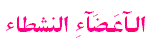 ☆ الـآعَـضَآءِ النشطاء ☆ ☆ الـآعَـضَآءِ النشطاء ☆
