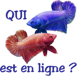 Qui est en ligne ?