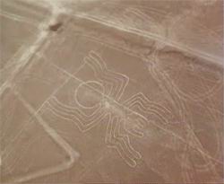 nazca-29.jpg