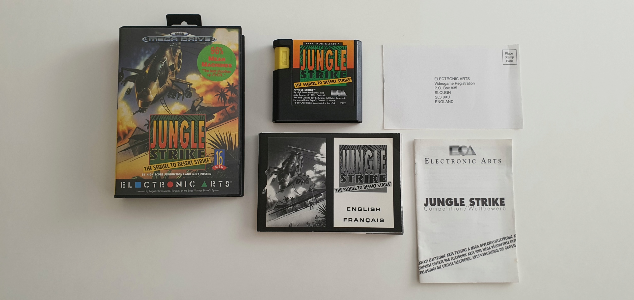 jungle10.jpg