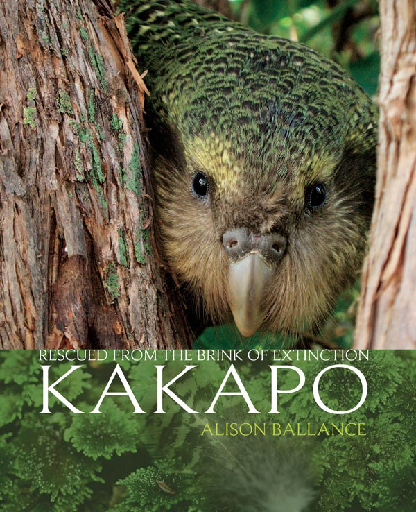 kakapo11.jpg
