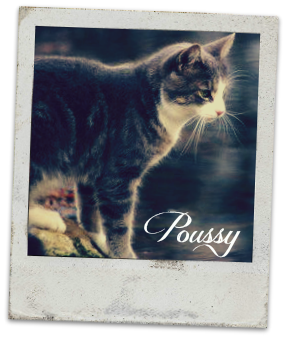 poussy10.png