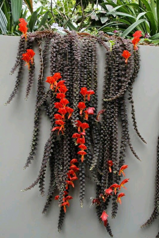 2790a810.jpg